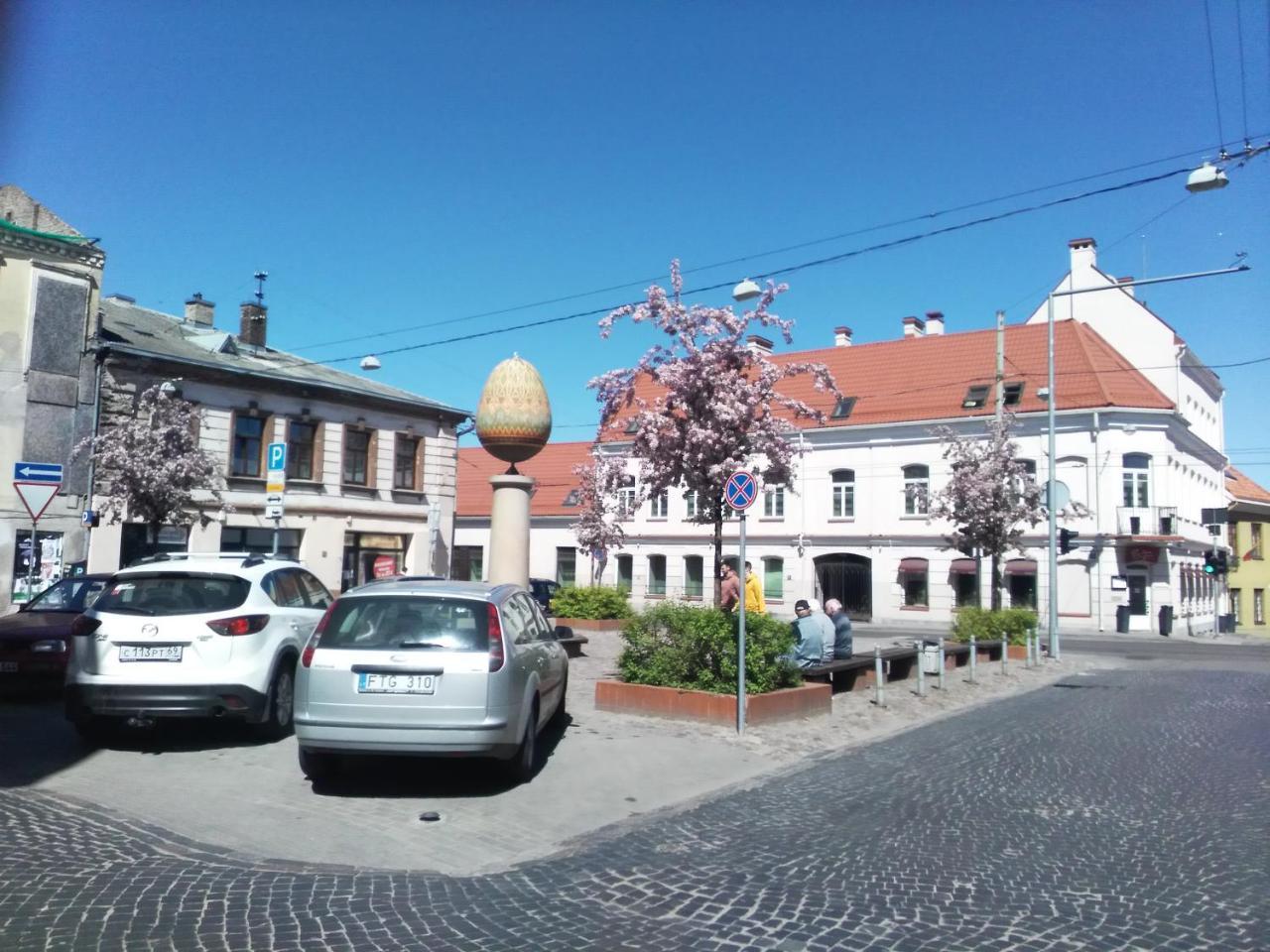 Like Home Apartments - 2 Rooms With Balcony VNO Exterior photo
